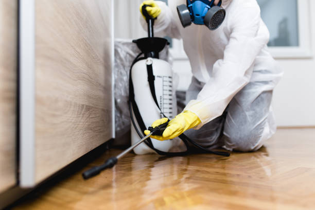 Best Wildlife Control Services  in Indian Head, MD