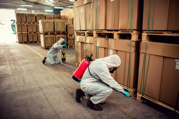 Best Exterminator Services  in Indian Head, MD