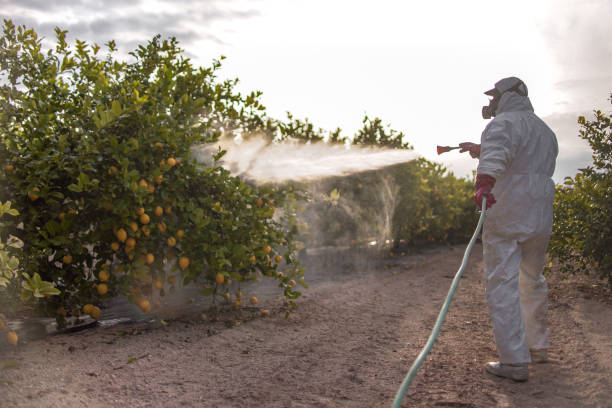 Pest Prevention Services in Indian Head, MD