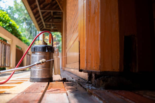 Best Local Pest Control Services  in Indian Head, MD